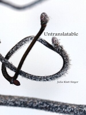 cover image of Untranslatable